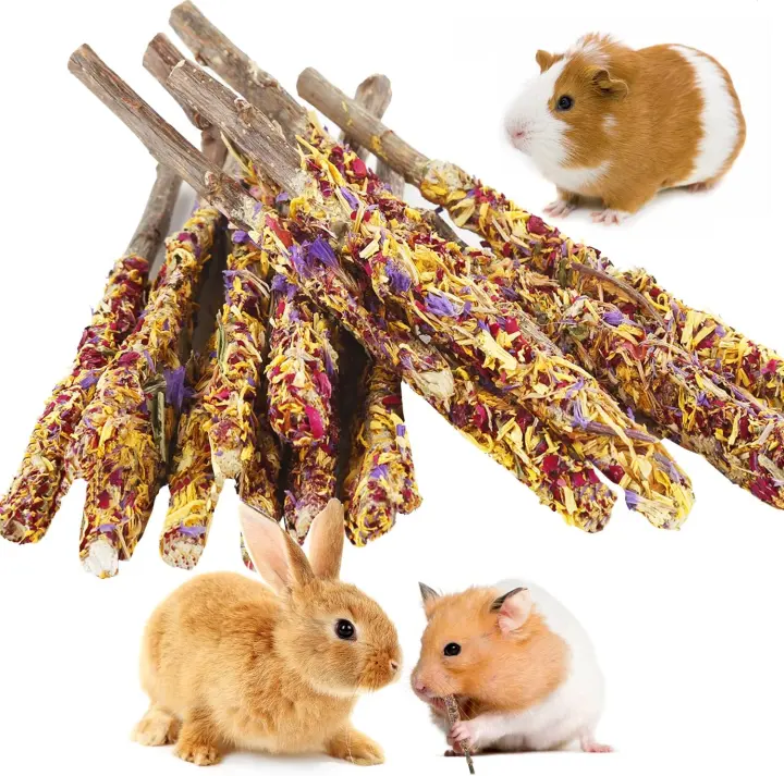 Apple-Wood & Petal Chew Sticks — 18-Pack Small Pet Chews