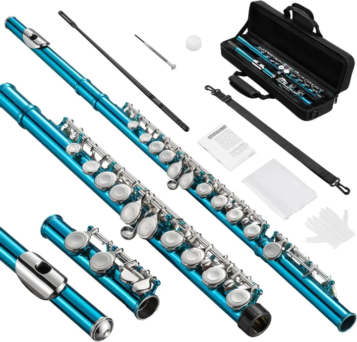 POGOLAB C Flute — Closed-Hole 16-Key Student Instrument (Sky Blue)