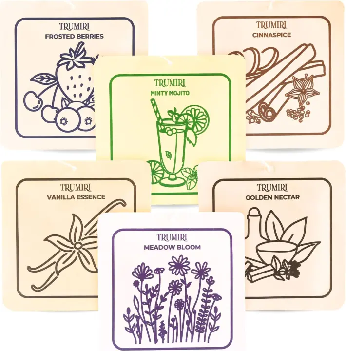Variety Pack Scented Drawer & Closet Sachets — 6 Hanging Fresheners