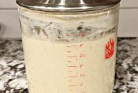 Your Guide to a Thriving Sourdough Starter
