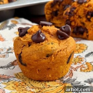 Golden cake mix pumpkin muffin with melted chocolate chips, ready to eat.