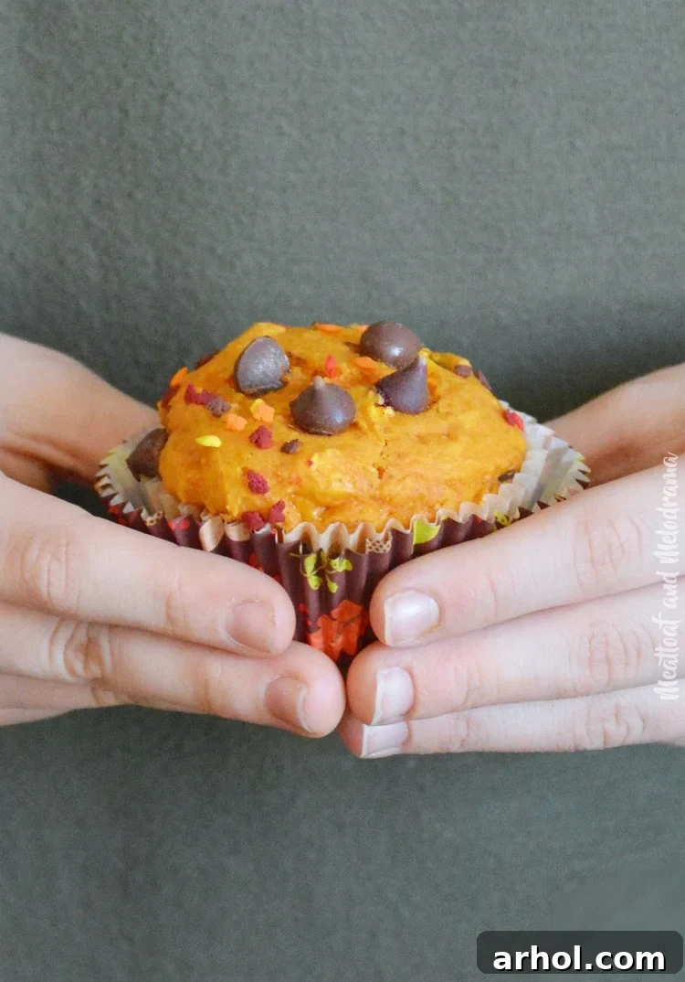 A pair of hands holding a warm, easy pumpkin chocolate chip muffin, highlighting its inviting texture and chocolatey goodness.