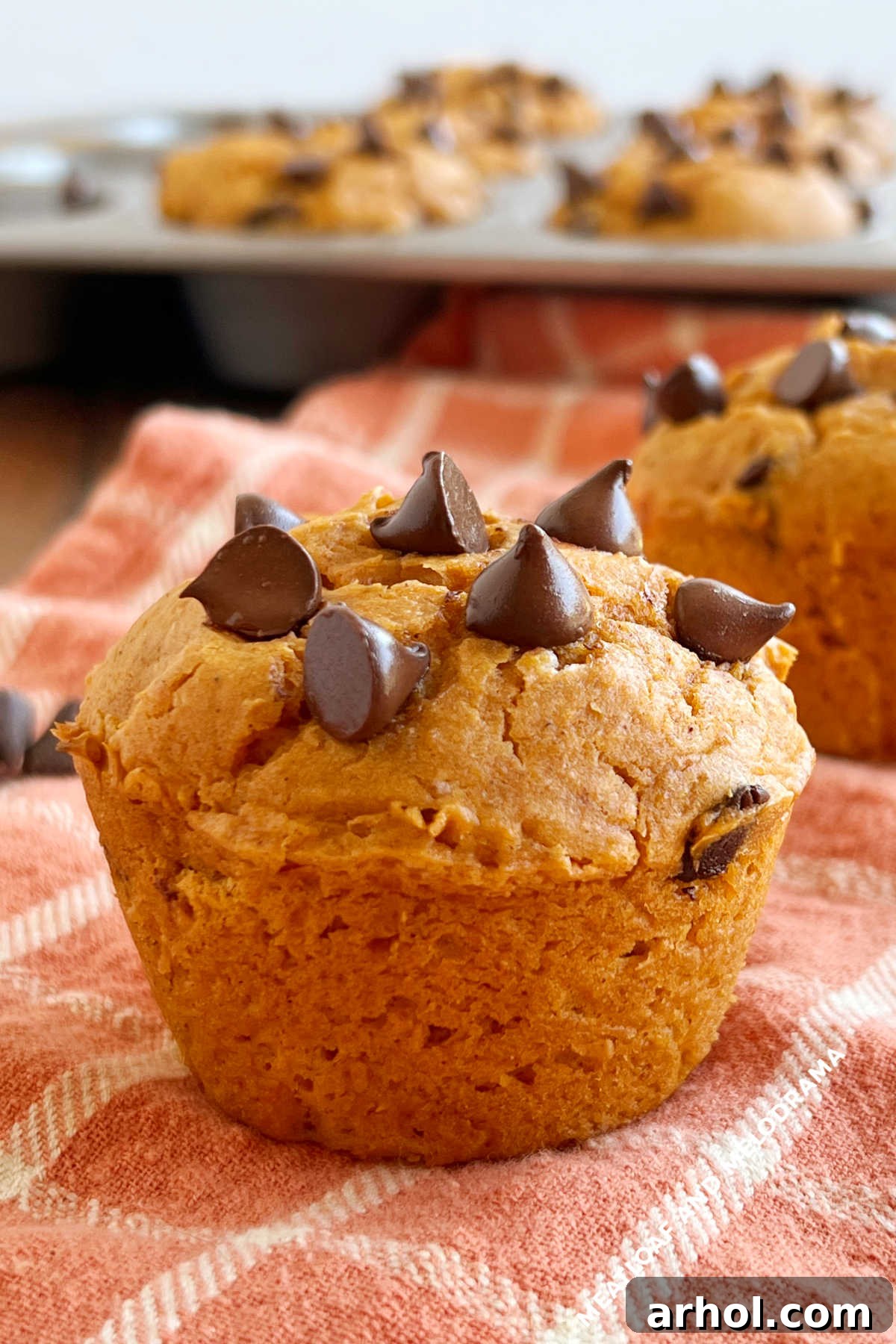 A close-up shot of two easy 2-ingredient pumpkin muffins with chocolate chips, presented on a table, highlighting their inviting texture and deliciousness.