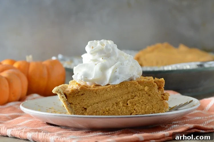 Wide shot of the No-Bake Pumpkin Cheesecake Pie on a serving plate, garnished with whipped cream and a sprinkle of cinnamon, ready for a fall gathering.