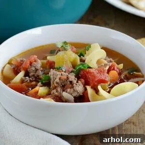 A bowl of delicious ground beef noodle soup.