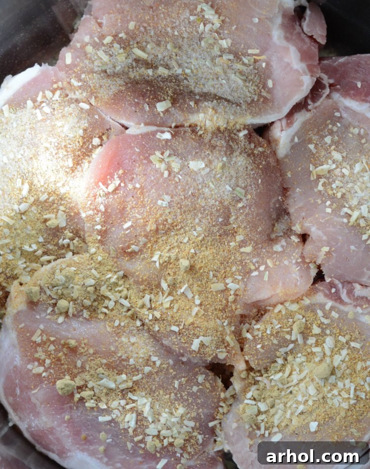pork chops in instant pot with spices