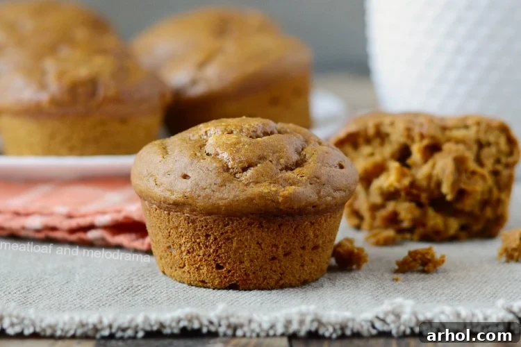 The best easy pumpkin muffins with applesauce displayed on a plate, highlighting their appealing golden-brown tops.