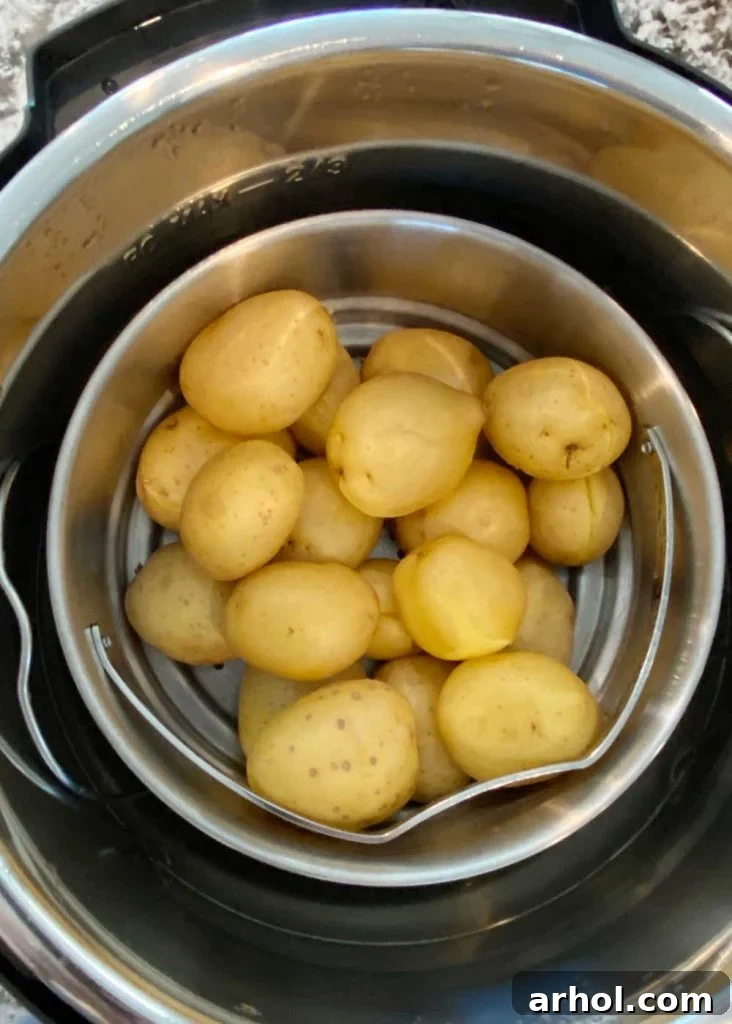 Instant Pot Baby Potatoes in Minutes 3 Steamed baby potatoes in a steamer basket inside the Instant Pot, showing their soft and tender texture after cooking.