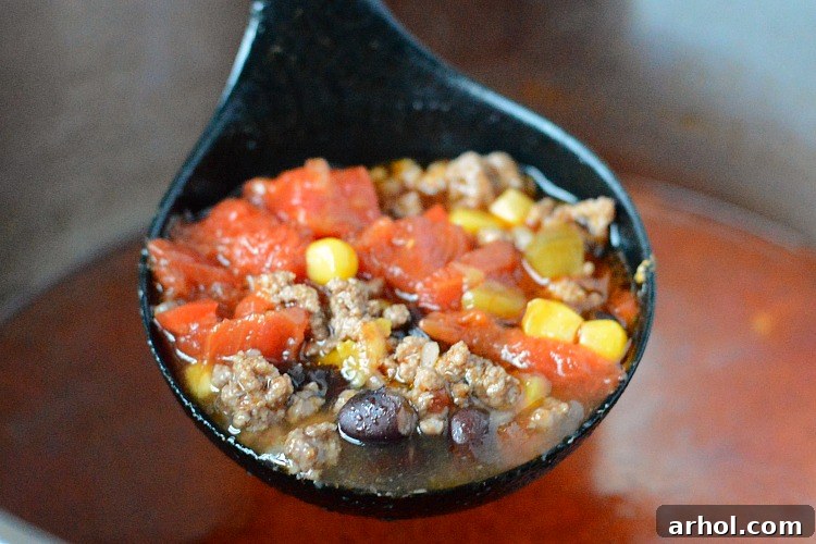 Effortless Instant Pot Taco Soup 4 instant pot taco soup in ladle