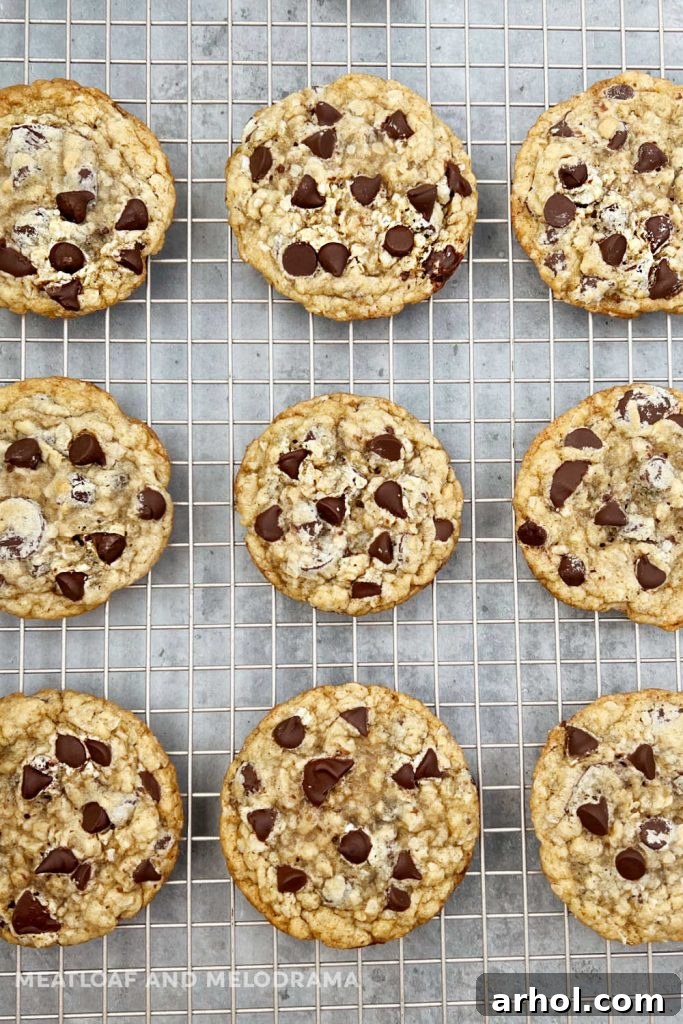 Freshly baked oatmeal cookies with melted chocolate chips cooling on a wire rack.