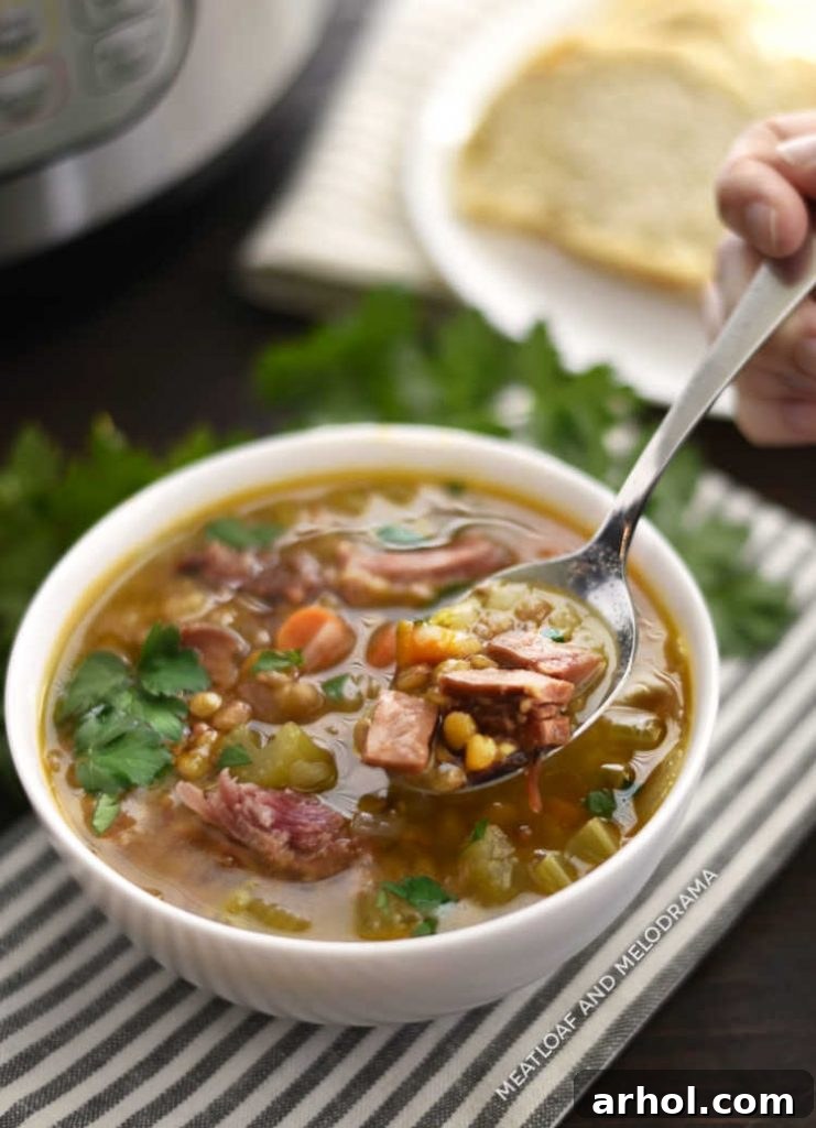 A close-up shot of rich and hearty ham and lentil soup on a spoon, highlighting its texture and inviting appearance.