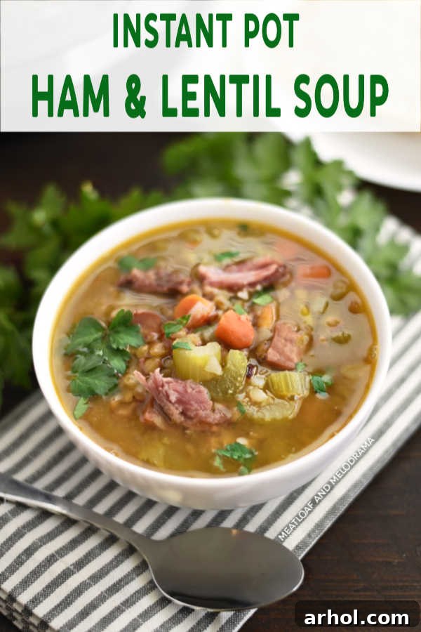 A close-up of a serving of Instant Pot Ham and Lentil Soup in a rustic bowl, showcasing its comforting texture.