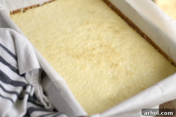 Freshly baked lemon bars in a 9x13 inch pan, lined with parchment paper, showing the set, light yellow lemon curd filling over the golden shortbread crust.