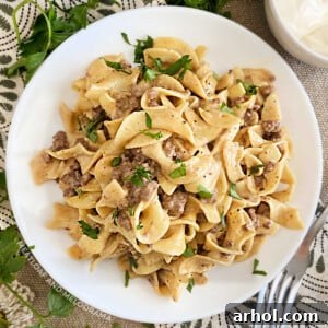 instant pot ground beef stroganoff with egg noodles on white plate