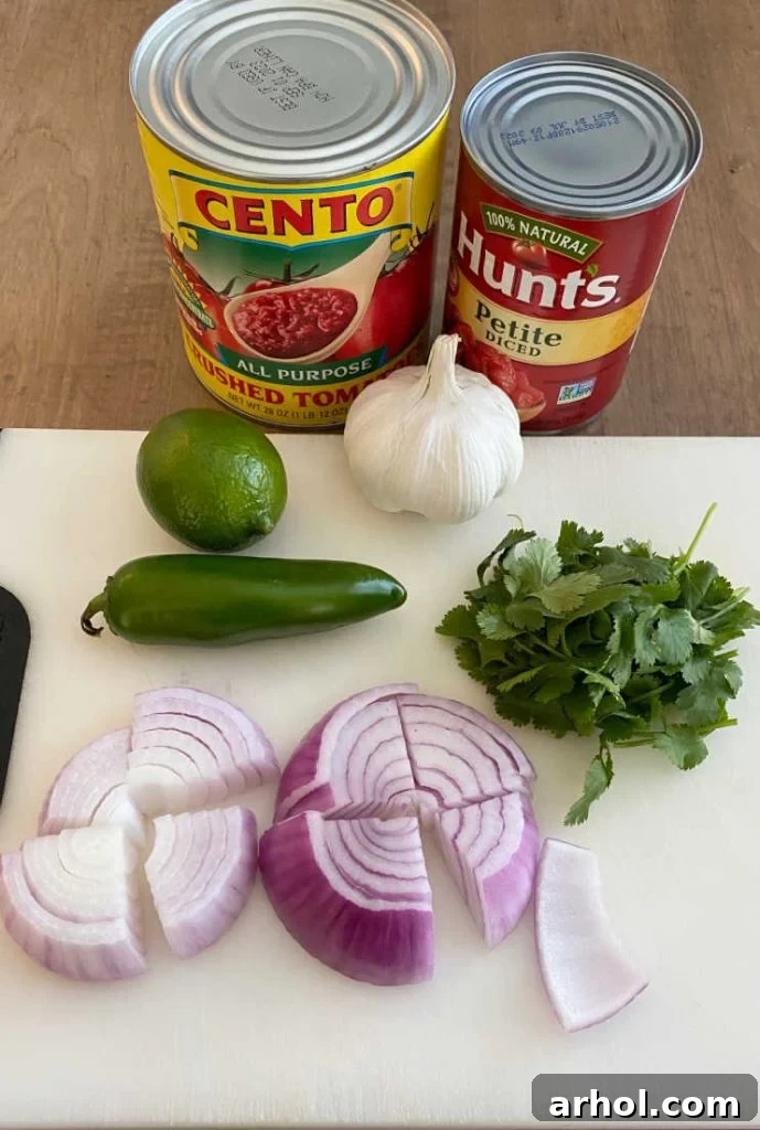 canned tomatoes, onion, lime, jalapeno pepper, cilantro and red onion ingredients