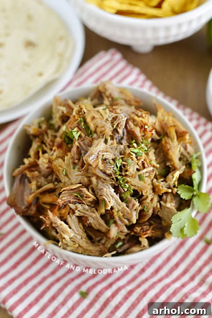 Shredded Mexican pork, glistening and flavorful, served in a clean white bowl.
