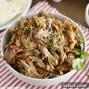 Crispy shredded pork carnitas in a white bowl