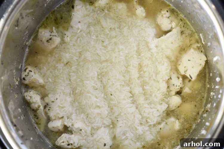 Dreamy Instant Pot Cheesy Chicken and Rice 4 Layers of seasoned chicken, rinsed Jasmine rice, and chicken broth in the Instant Pot, not stirred.