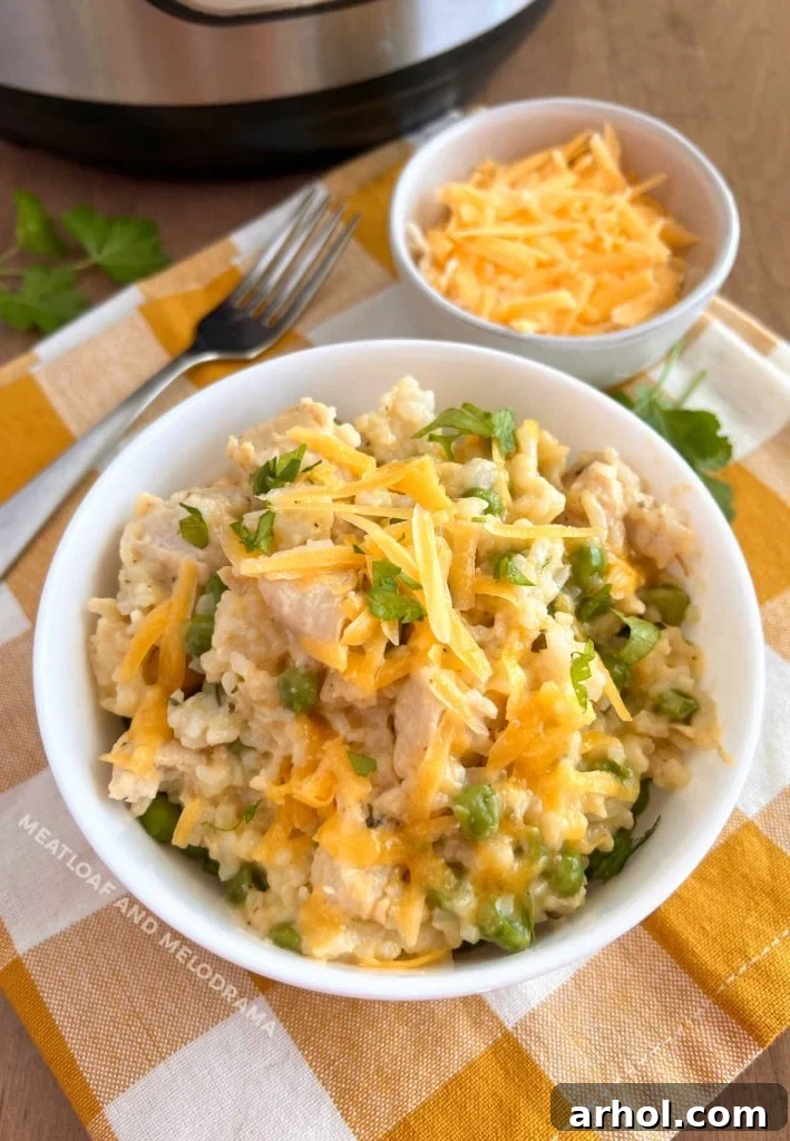 Dreamy Instant Pot Cheesy Chicken and Rice 6 A bowl of Instant Pot Cheesy Chicken and Rice, garnished with parsley, next to the Instant Pot cooker.