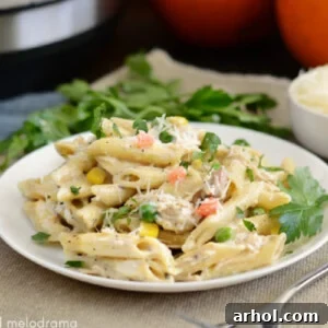 leftover instant pot turkey noodle casserole with vegetables on white plate