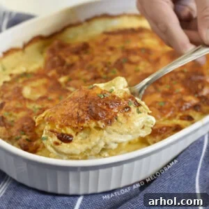 potatoes au gratin on a serving spoon