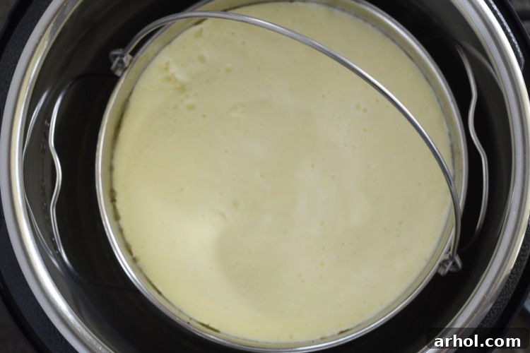 peppermint cheesecake in springform pan in instant pot