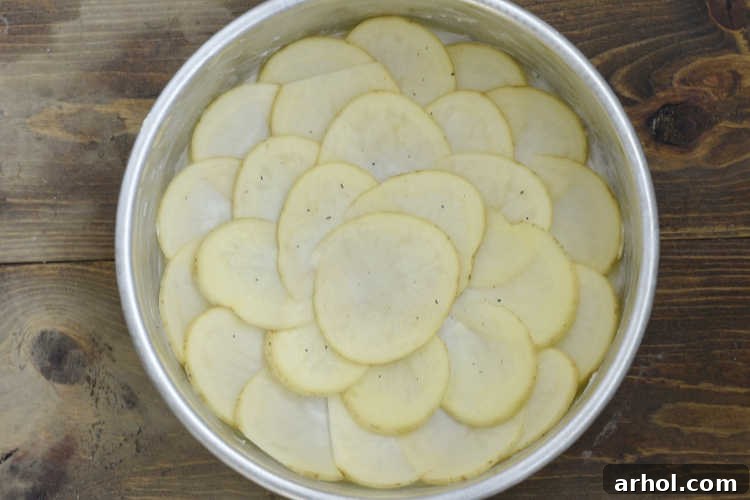 Thinly sliced Yukon Gold potatoes arranged in an 8-inch round cake pan, ready for layering