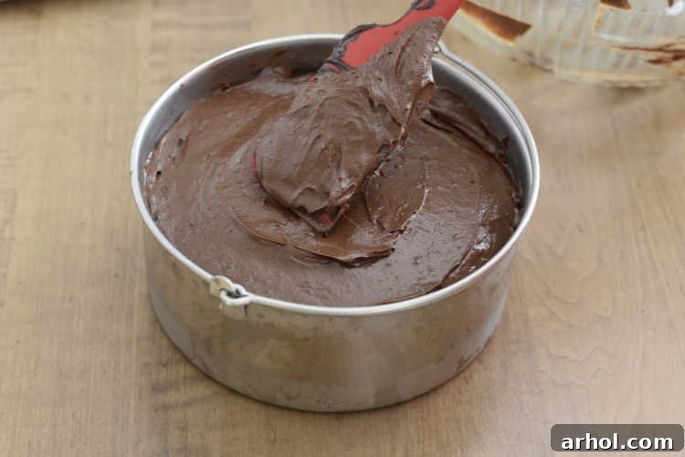 smooth cheesecake batter into push pan