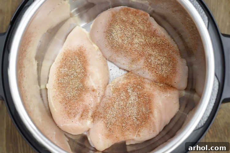 Three chicken breasts seasoned with taco seasoning, ready in the Instant Pot liner before adding other ingredients.