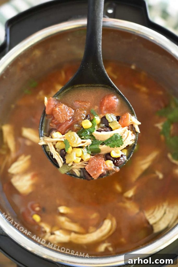 A ladle serving a generous portion of Instant Pot Chicken Taco Soup, showcasing black beans, corn, and diced tomatoes, held above the Instant Pot.