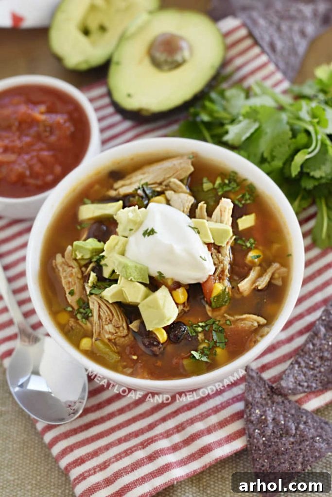 A beautifully presented bowl of chicken taco soup with a vibrant array of toppings including crispy tortilla chips, fresh salsa, cilantro, and creamy avocado slices.