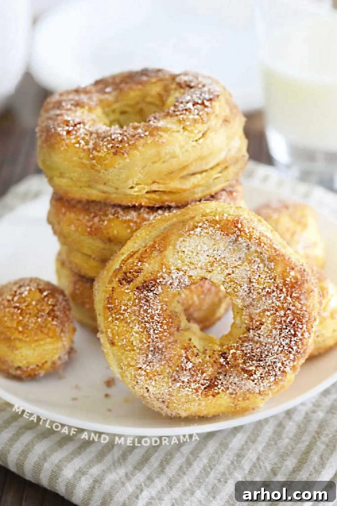 Golden-brown air fryer biscuit donuts coated in cinnamon sugar mixture on a clean white plate, ready to be enjoyed.