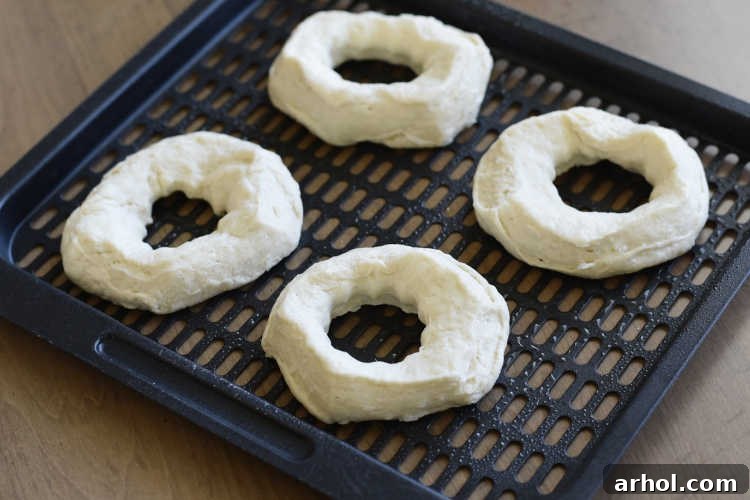 Freshly air-fried biscuit dough donuts, golden brown and fluffy, cooling in an Instant Vortex Plus air fryer oven basket.