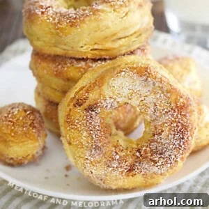 Close-up of air fryer biscuit donuts with cinnamon sugar coating on a plate.