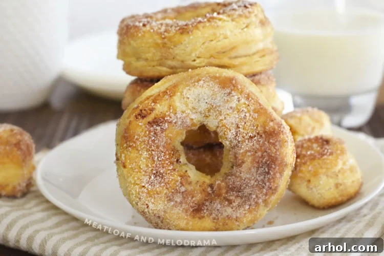 Two cinnamon sugar air fryer donuts displayed on a clean white plate, ready to be eaten.