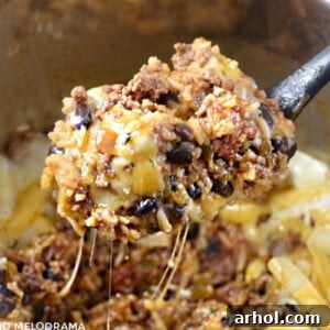 instant pot mexican ground beef and rice with black beans on a spoon in the pressure cooker