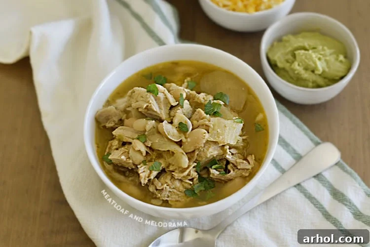 Hearty Leftover Pork Chili Verde in a white bowl, garnished and ready to serve