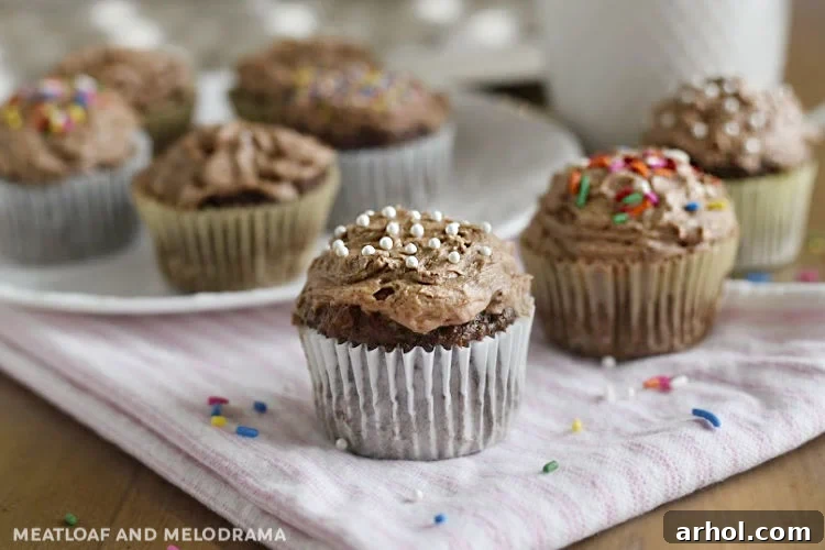 2 ingredient chocolate cupcakes with chocolate frosting and sprinkles