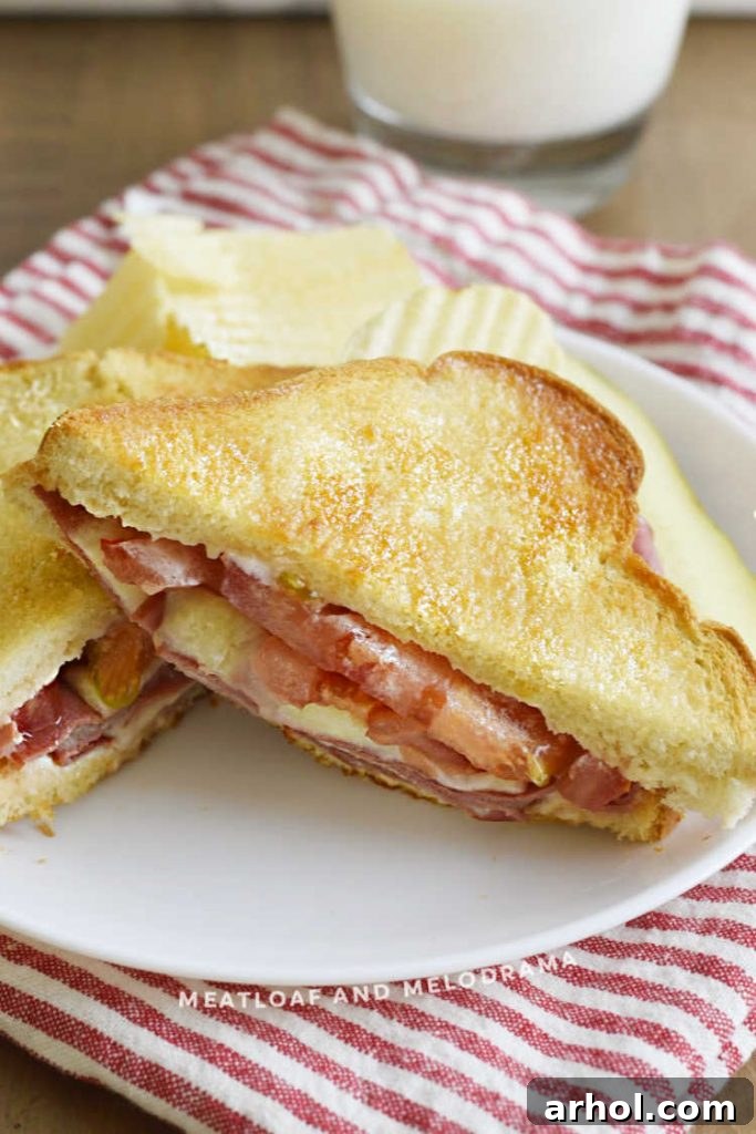 A complete fried jumbo bologna sandwich with melted provolone, fresh tomato, and lettuce.