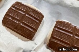 Melted chocolate over toasted marshmallows on graham crackers.