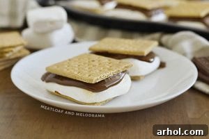 Baked s'mores on a plate, ready to be enjoyed as a dessert.