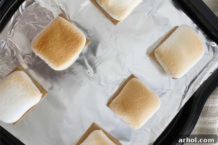 Marshmallows beautifully broiled to a golden-brown on top of graham crackers, sitting on a baking sheet, after being removed from the oven.