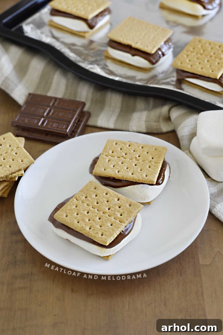 Two freshly made baked s'mores, featuring gooey marshmallows and melted chocolate between graham crackers, presented on a simple white plate.