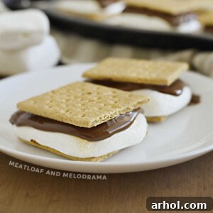 Delicious Easy Baked S'mores on a white plate, showcasing the melted chocolate and toasted marshmallow between graham crackers.