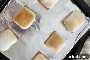 Broiled marshmallows over graham crackers on baking sheet, showing a golden brown top.
