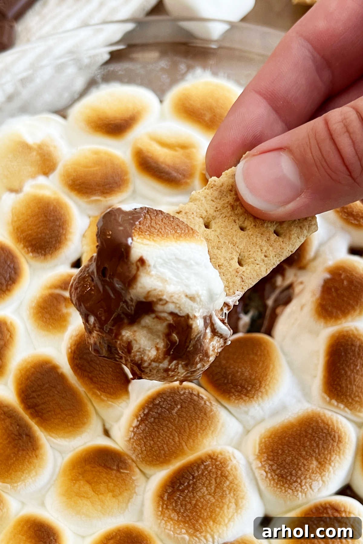 easy smores dip on a graham cracker with melted chocolate and marshmallows
