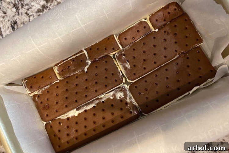 Effortless Ice Cream Sandwich Cake 4 Vanilla ice cream sandwiches arranged neatly in a loaf pan, forming the first layer of the cake.