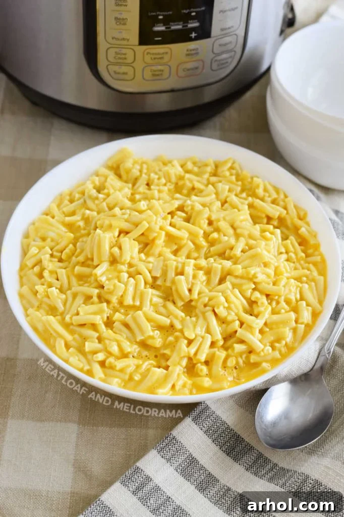 Creamy Instant Pot Kraft Mac and Cheese 7 Instant Pot Kraft Mac and Cheese served in a pristine white bowl, showcasing its creamy texture.