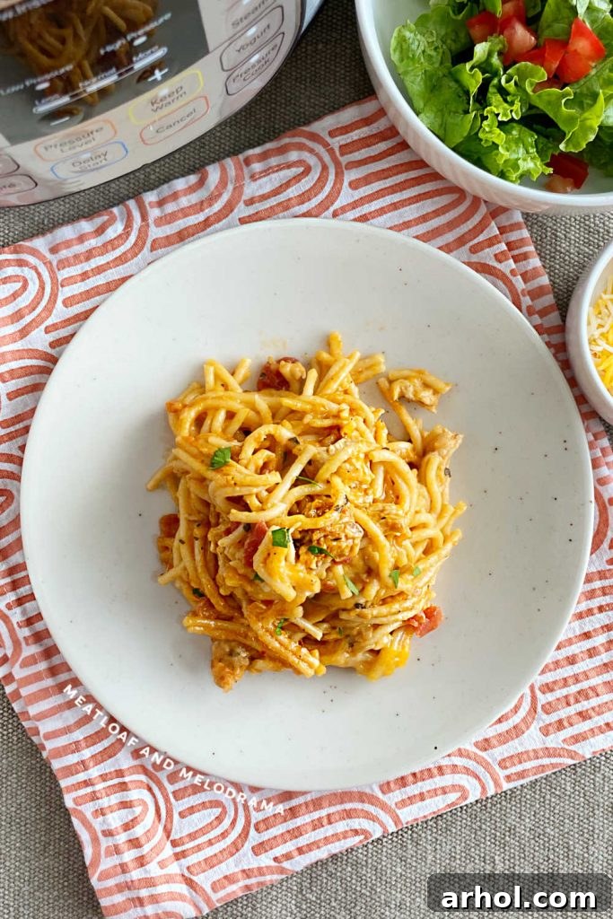 Creamy Instant Pot Chicken Spaghetti 2 Instant Pot Chicken Spaghetti served on a plate with a side salad, garnished with fresh cheddar cheese. A pressure cooker is visible in the background.