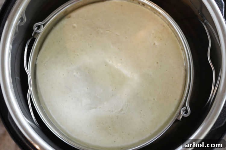 cheesecake in push pan with handles inside pressure cooker